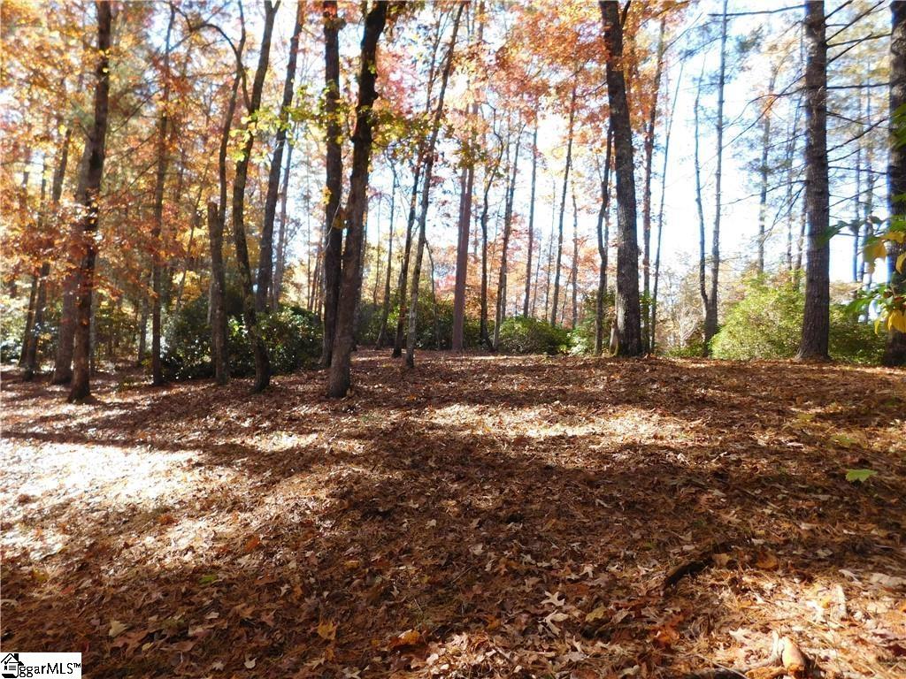 130 Cliffs Falls Parkway