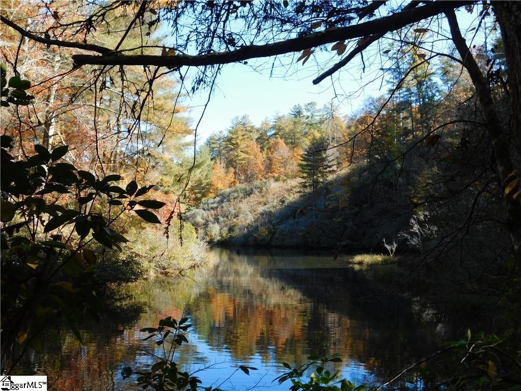130 Cliffs Falls Parkway