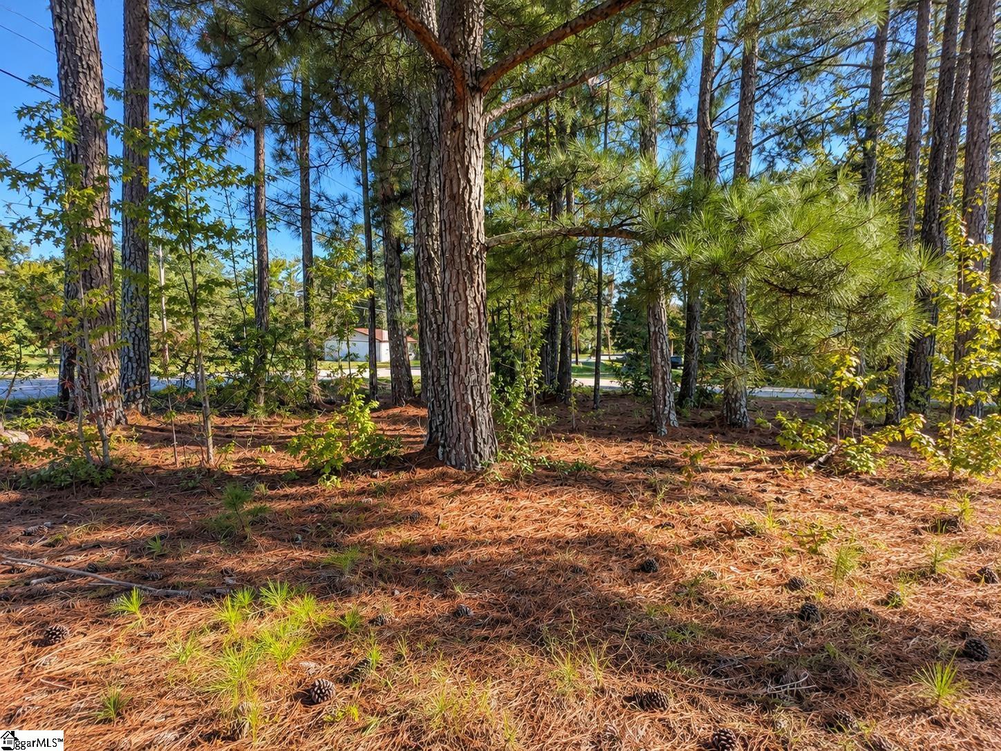 00 W Centennial Street, Clinton SC 29325