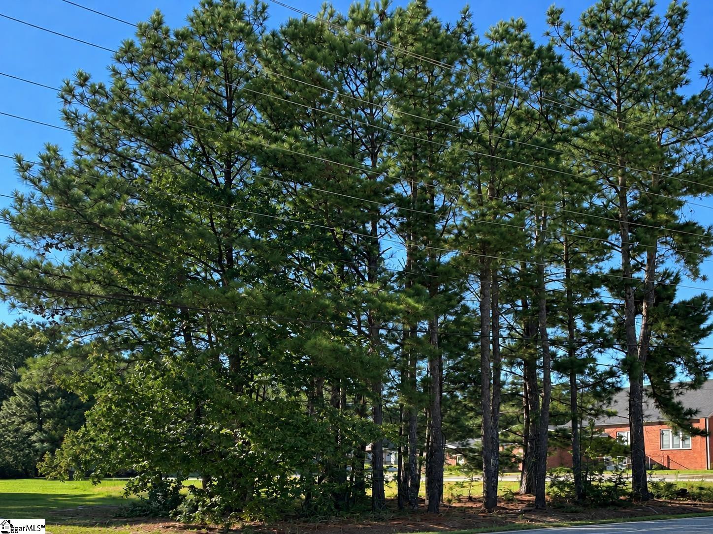 00 W Centennial Street, Clinton SC 29325