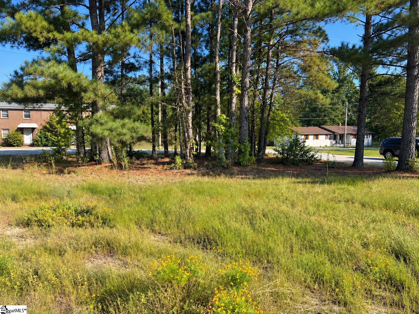 00 W Centennial Street, Clinton SC 29325