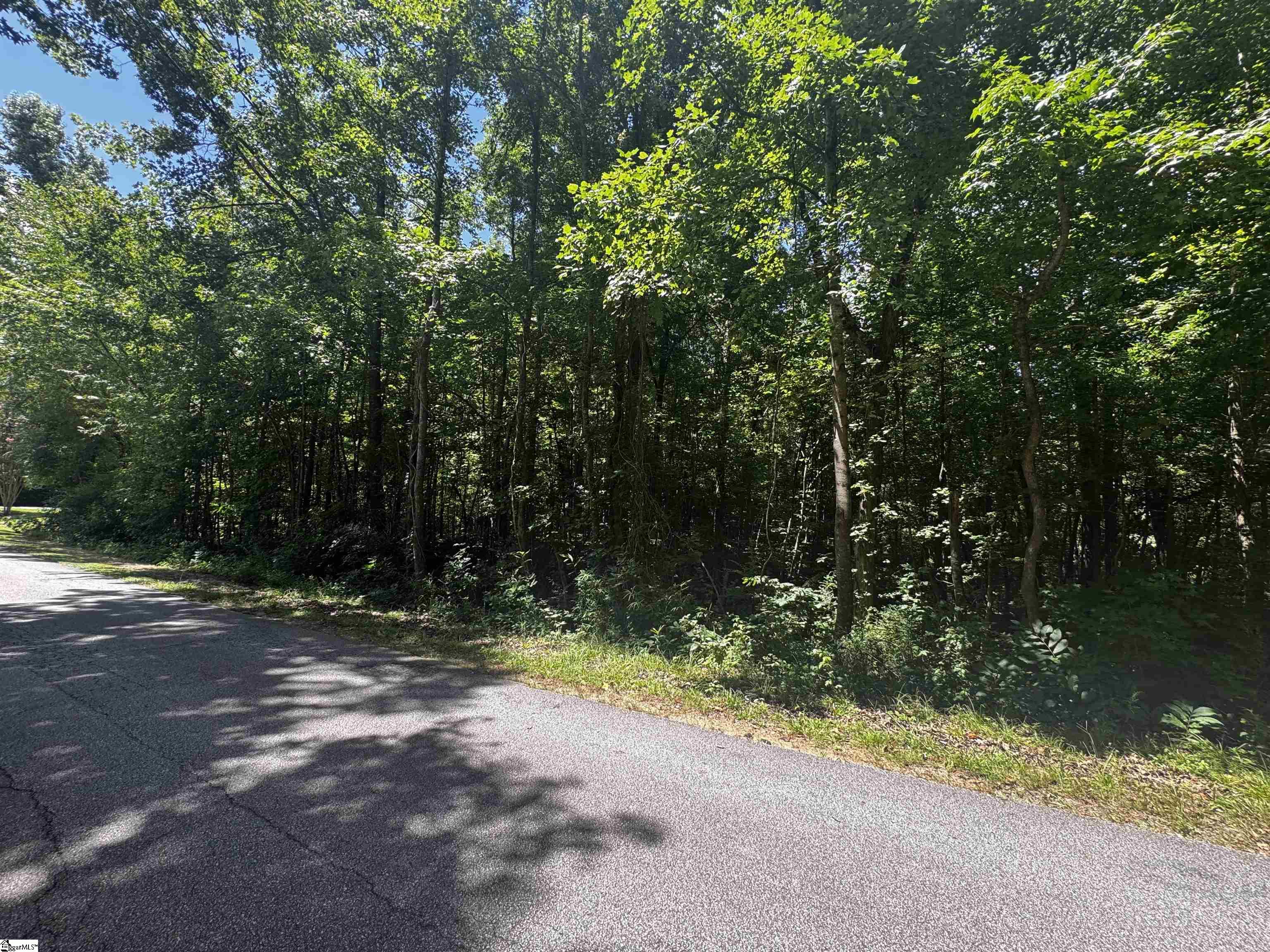 00 Fifth Avenue Extension, Clinton SC 29325