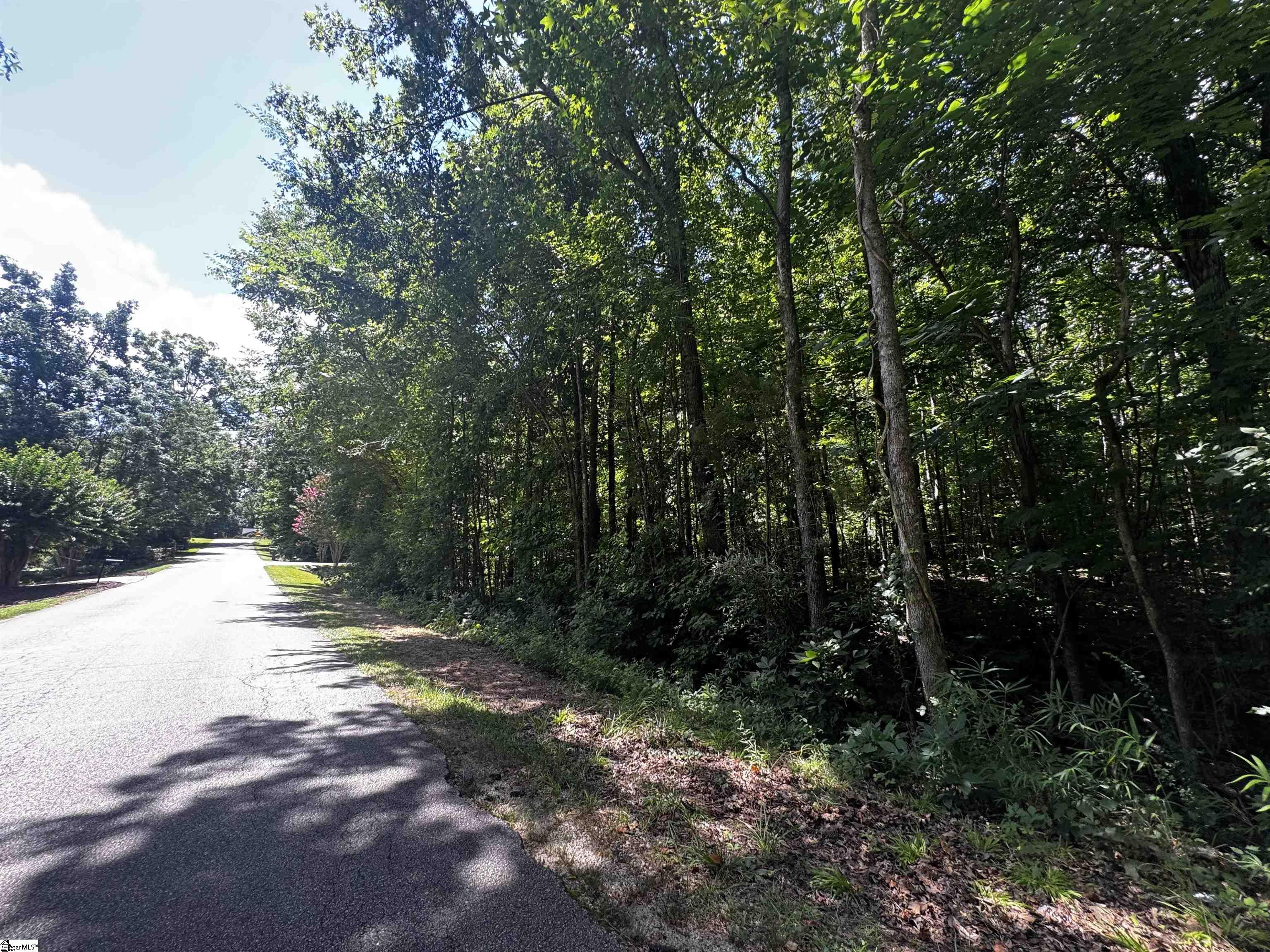 00 Fifth Avenue Extension, Clinton SC 29325