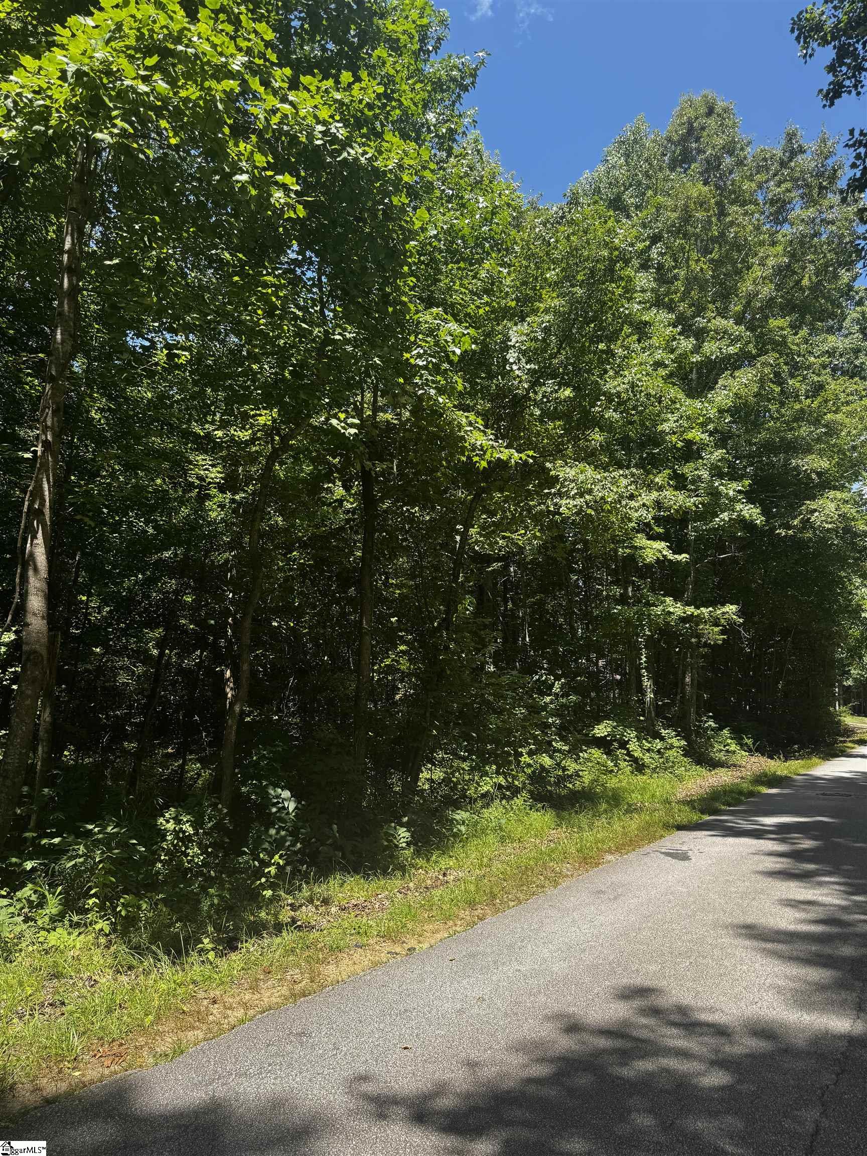 00 Fifth Avenue Extension, Clinton SC 29325