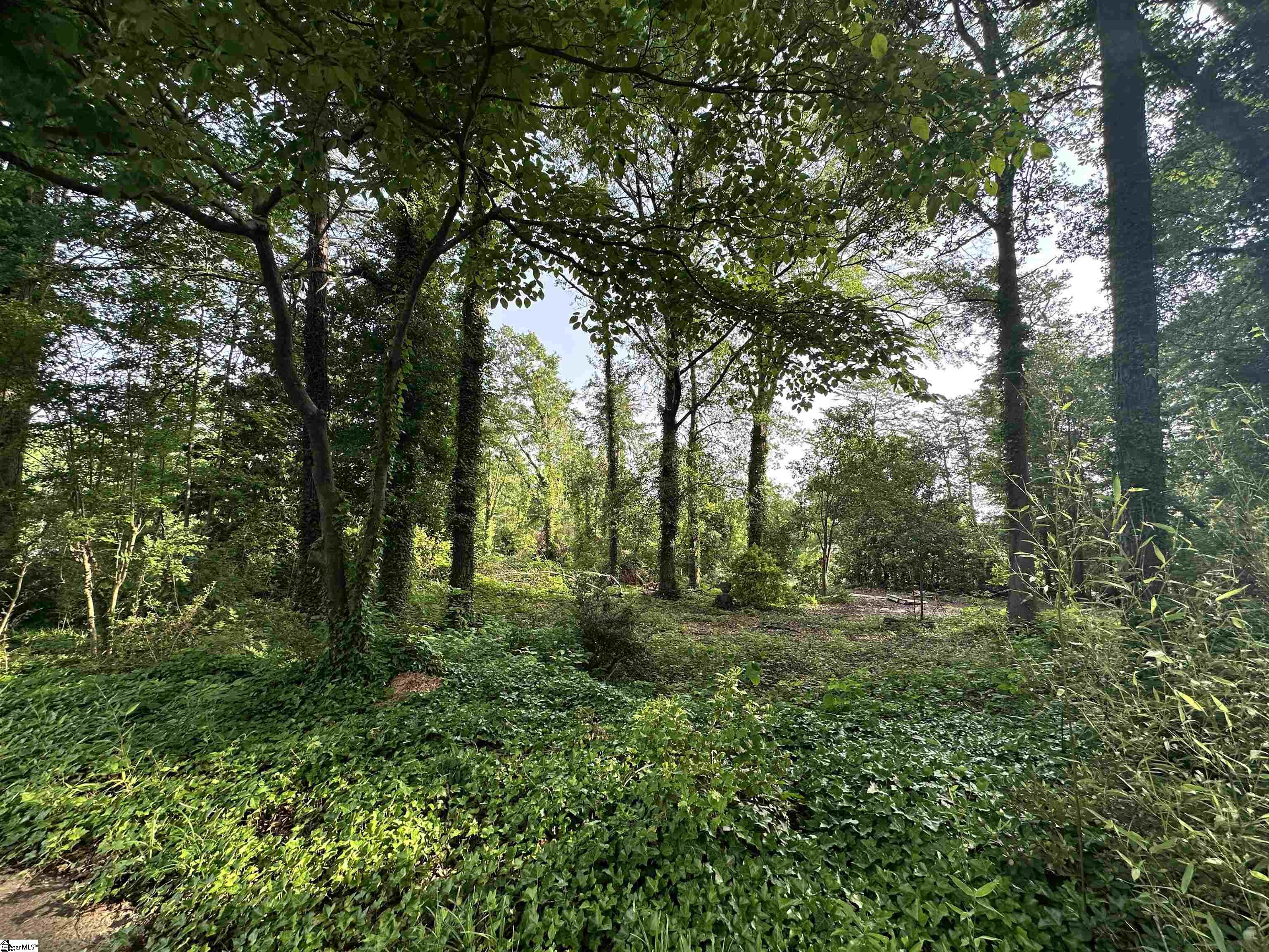 Photo 2 of Land for sale at 308 Old Grv Rd, Greenville, SC 29605 | MLS# 1604261 | Listing updated on 2026-09-19