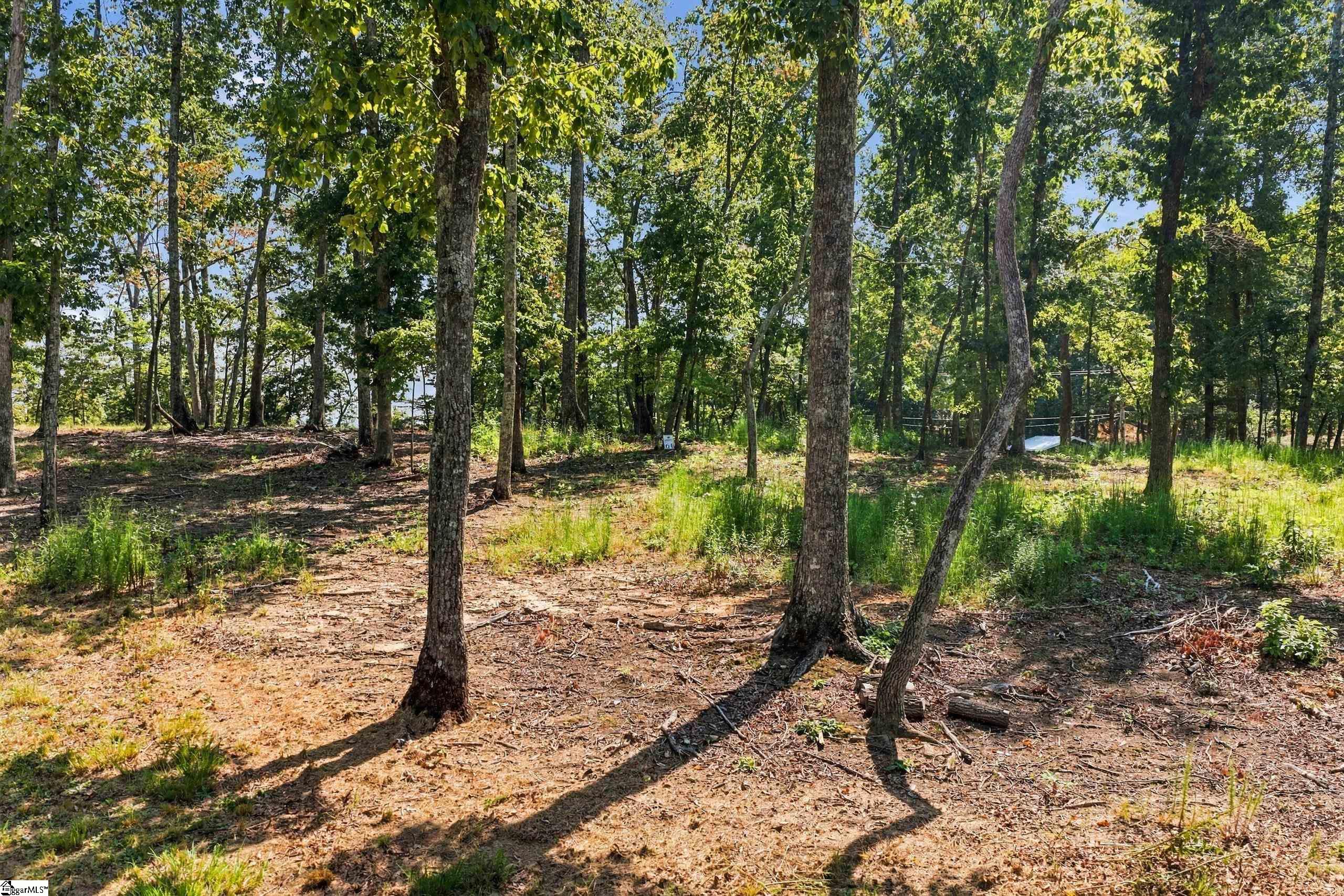104 Waterfall Overlook Way, Easley SC 29640