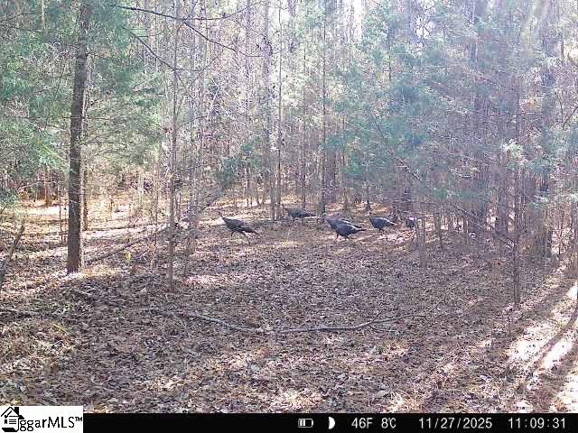 00 Simpson Mill Road, Laurens SC 29360
