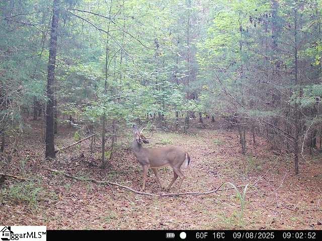 00 Simpson Mill Road, Laurens SC 29360