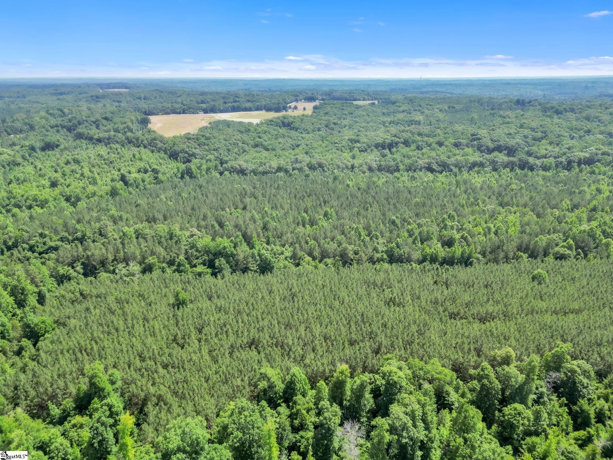 00 Simpson Mill Road, Laurens SC 29360