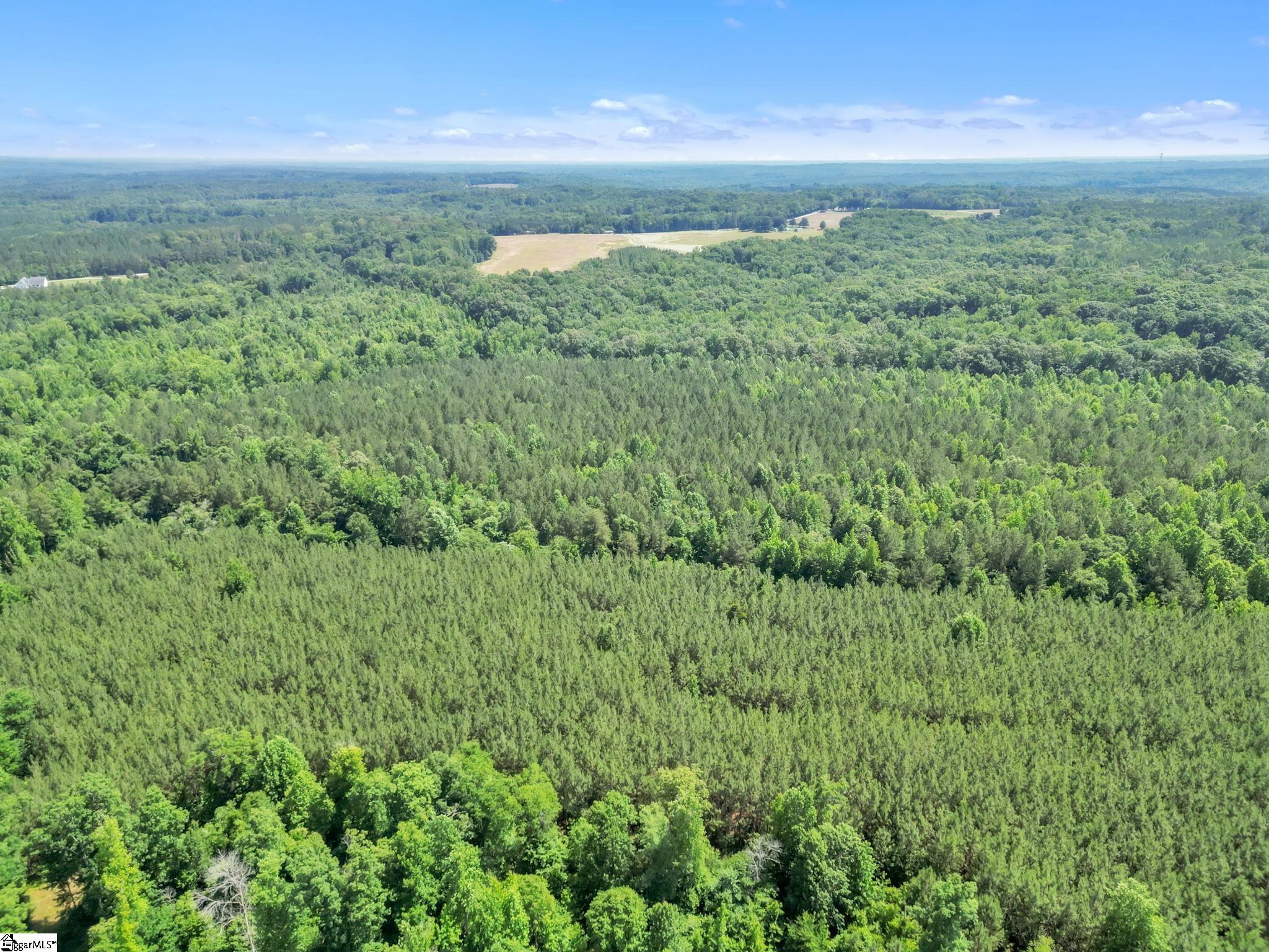 00 Simpson Mill Road, Laurens SC 29360