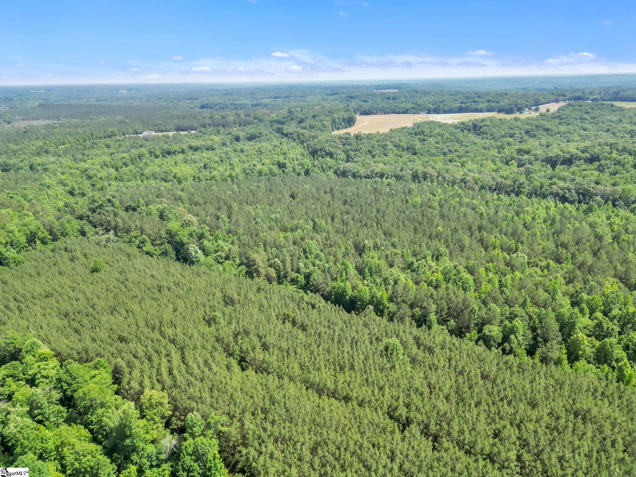 00 Simpson Mill Road, Laurens SC 29360