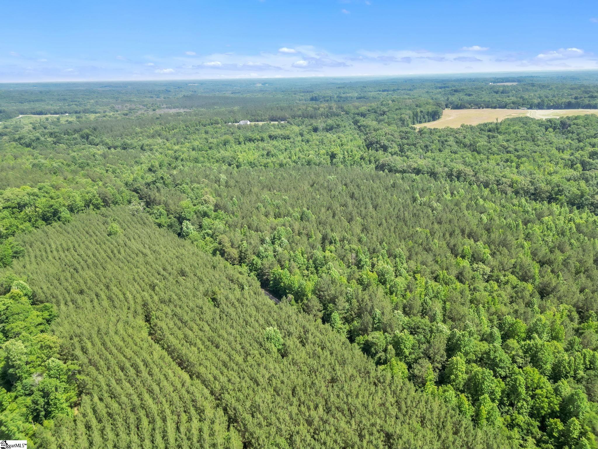 00 Simpson Mill Road, Laurens SC 29360