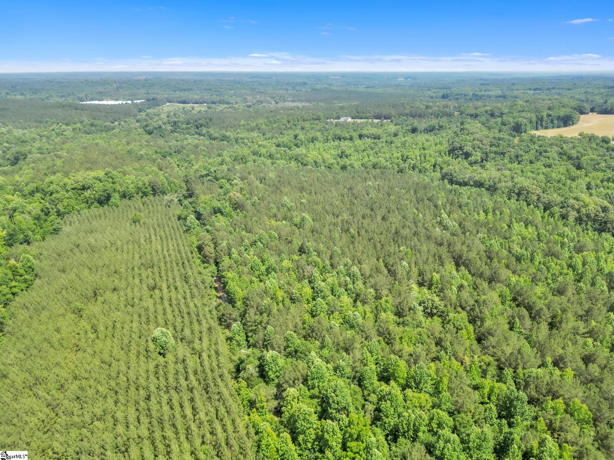 00 Simpson Mill Road, Laurens SC 29360