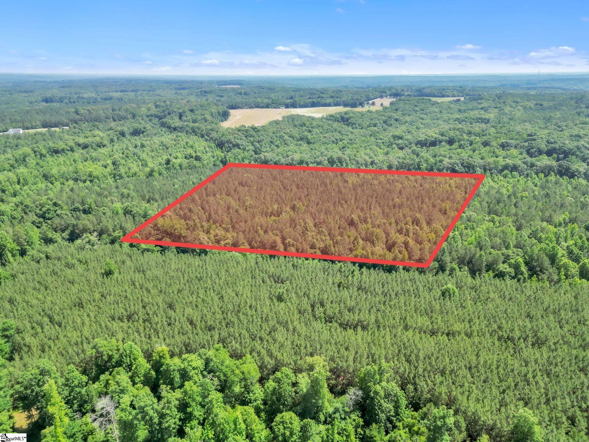 00 Simpson Mill Road, Laurens SC 29360