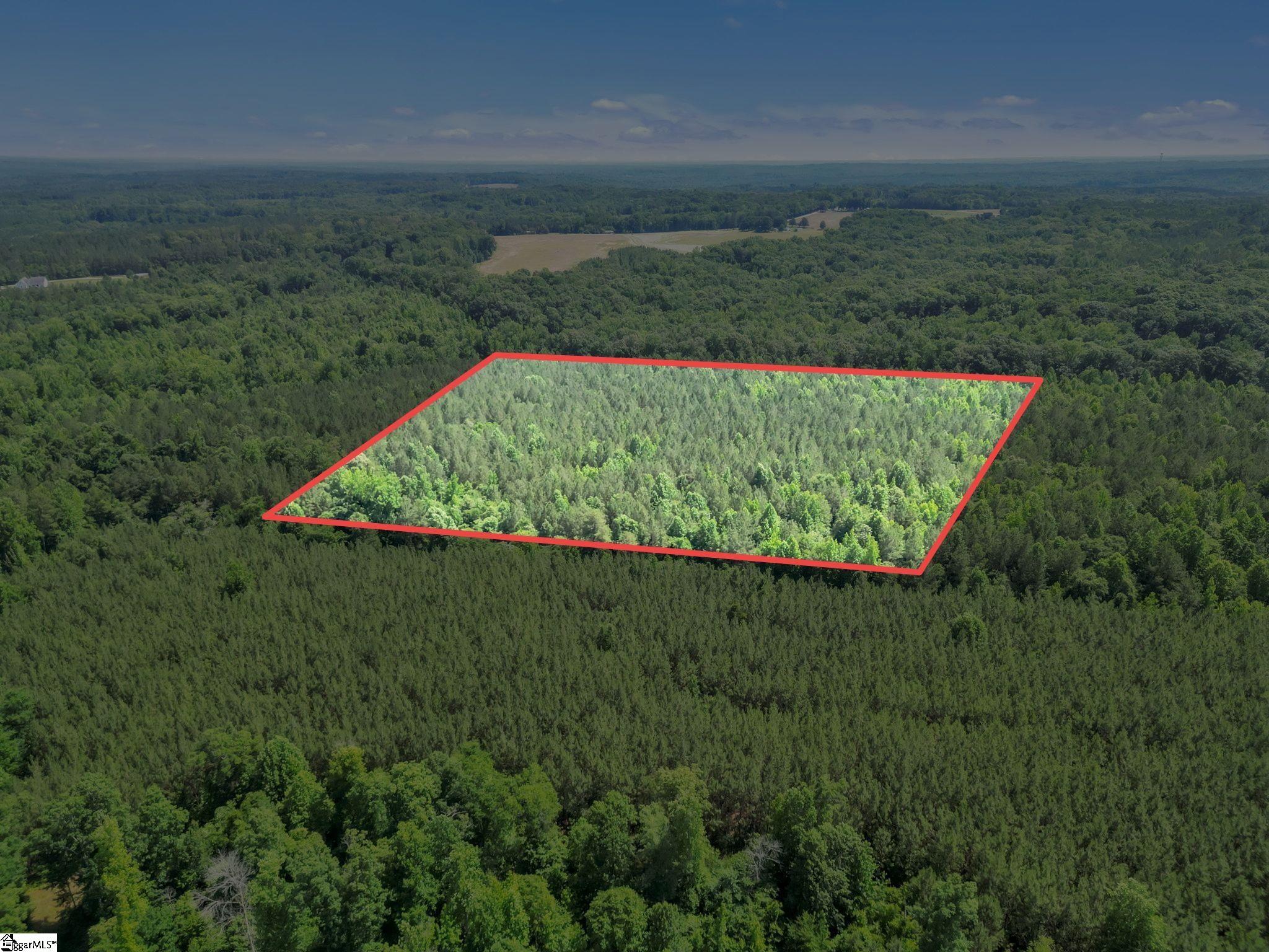 00 Simpson Mill Road, Laurens SC 29360