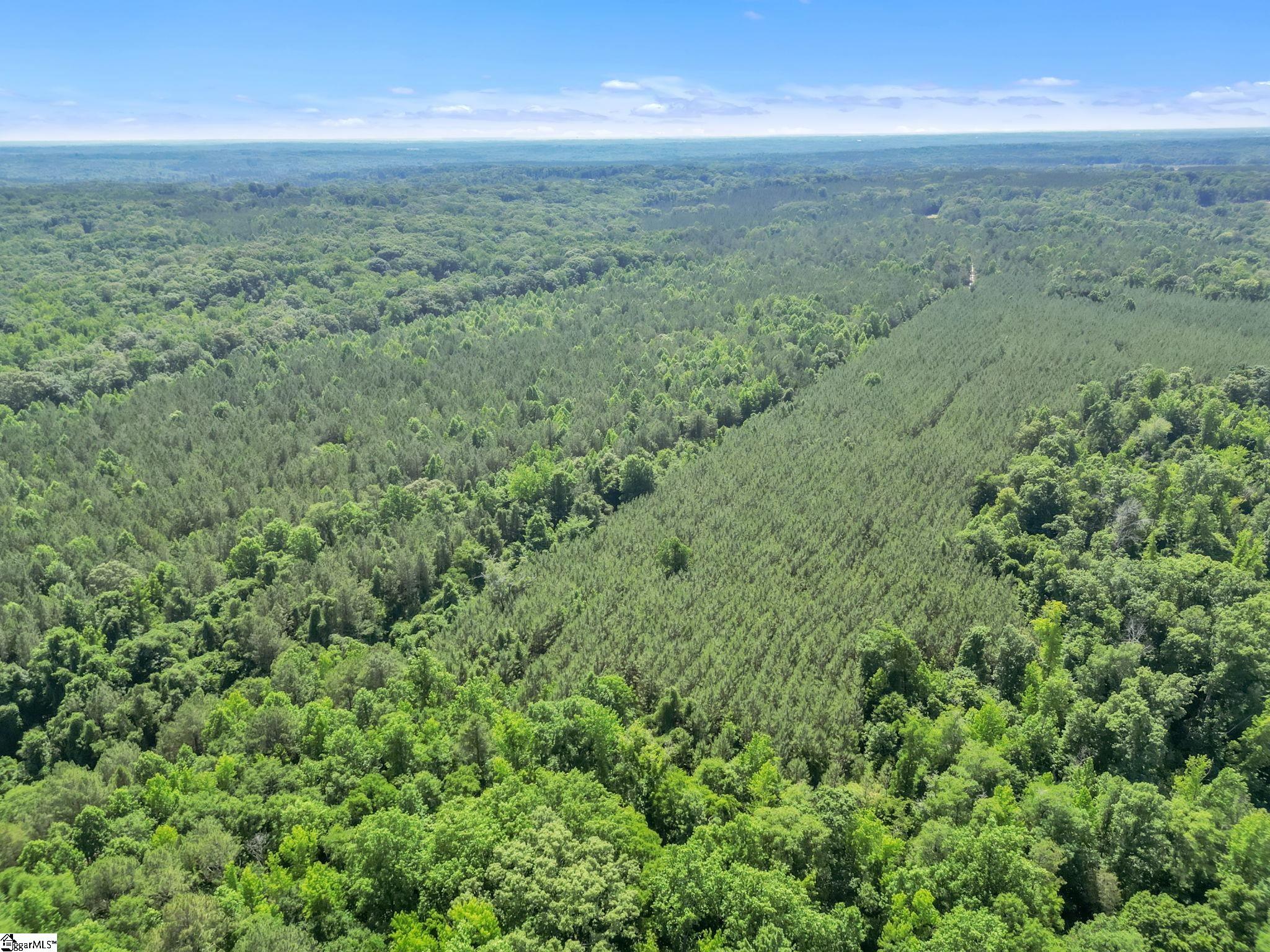 00 Simpson Mill Road, Laurens SC 29360