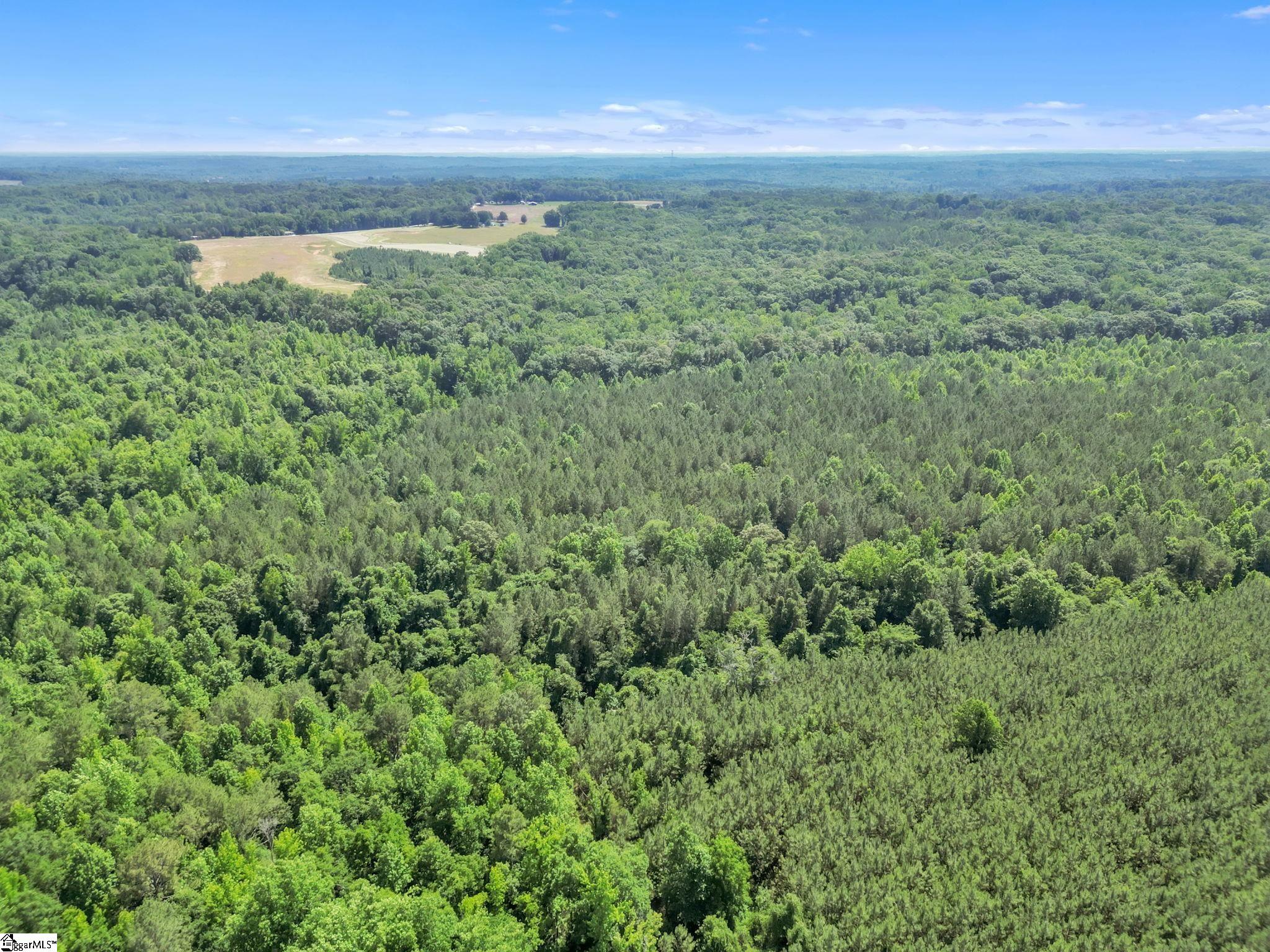 00 Simpson Mill Road, Laurens SC 29360