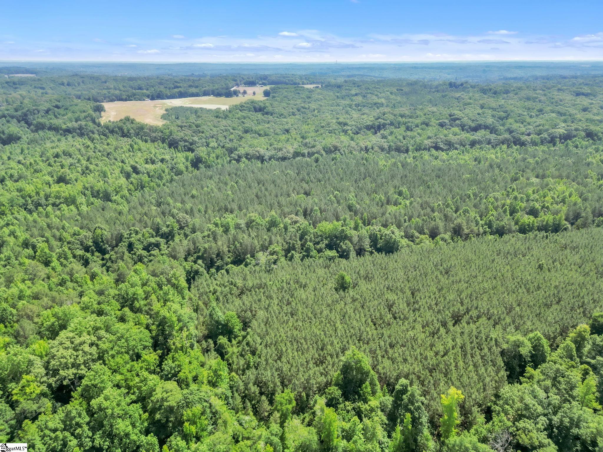 00 Simpson Mill Road, Laurens SC 29360