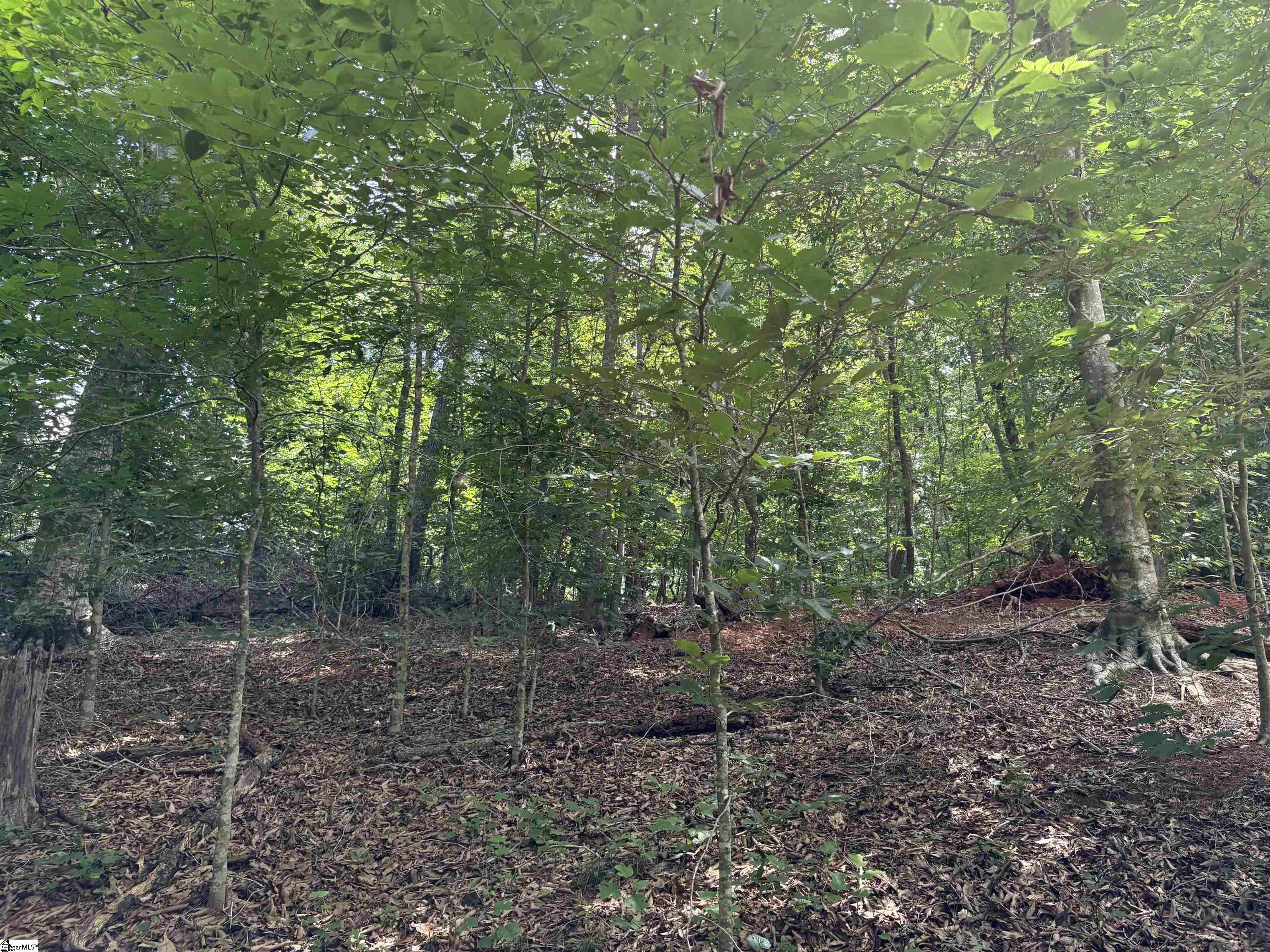 Photo 3 of Land for sale at Lenhardt Rd, Easley, SC 29640 | MLS# 1604314 | Listing updated on 2026-09-20
