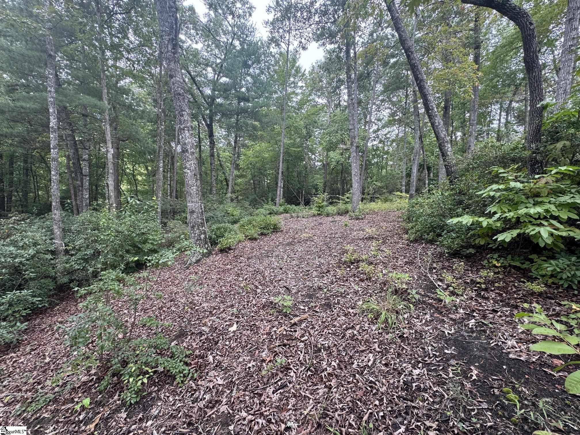 S46 Cliffs Falls Parkway