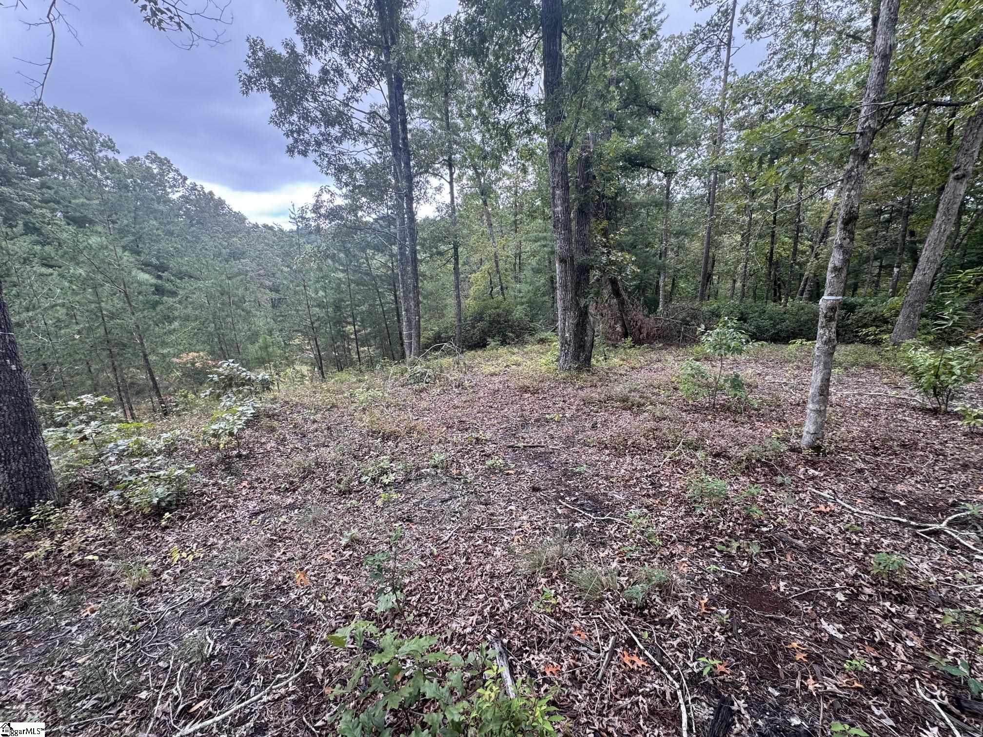 S46 Cliffs Falls Parkway