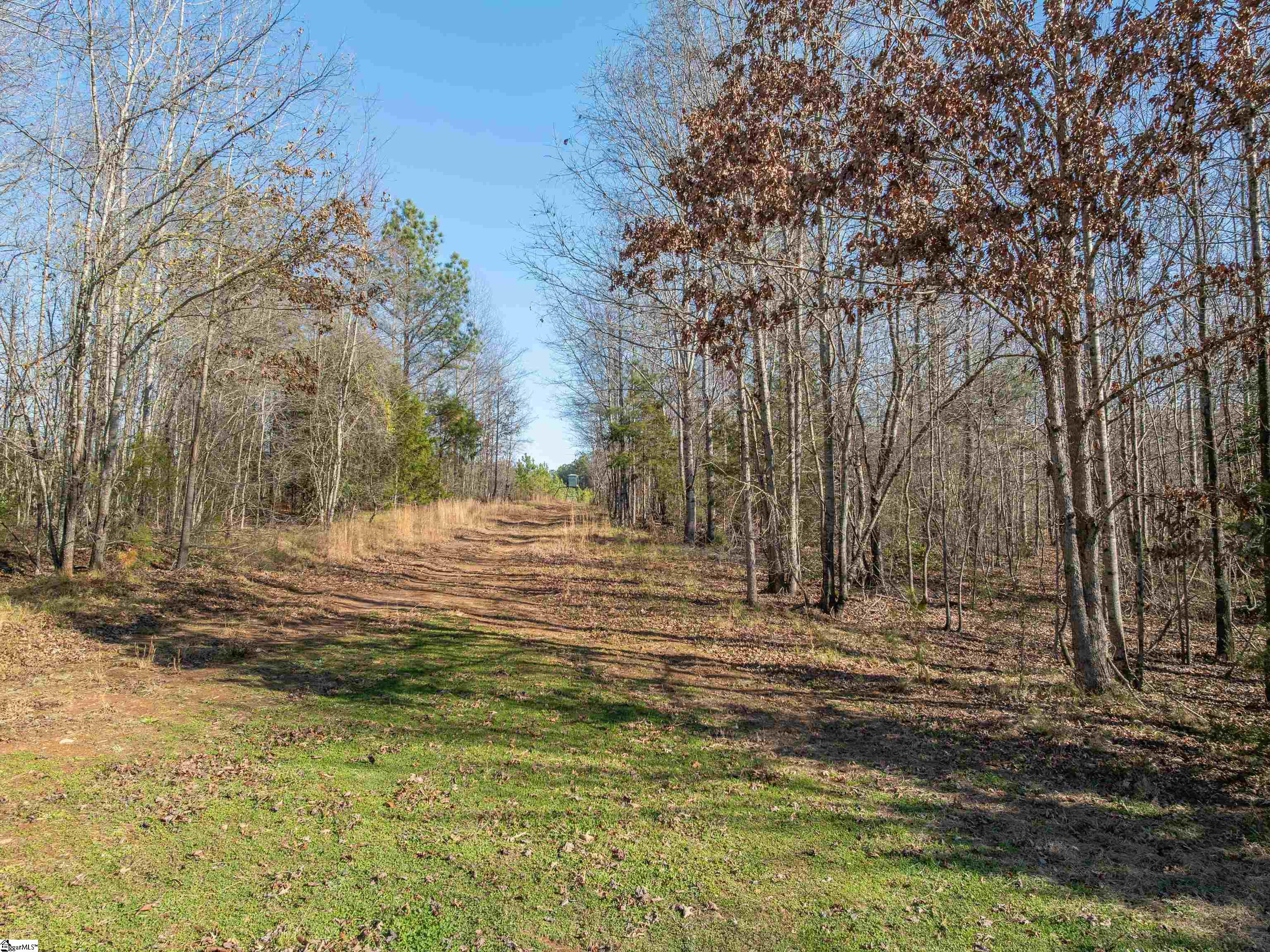 010 Mill Pine Road