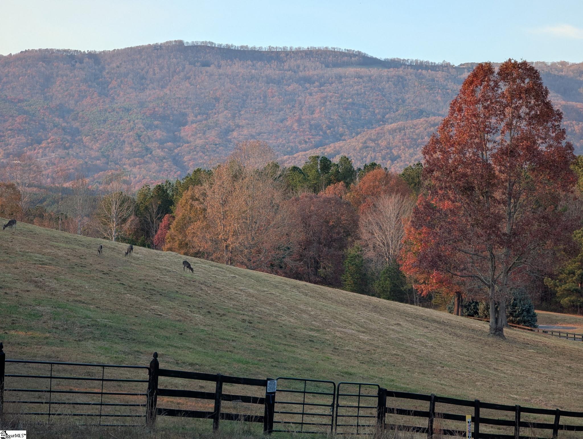 Photo 3 of Land for sale at River Park Ln, Mill Spring, NC 28756 | MLS# 1605783 | Listing updated on 2026-10-07