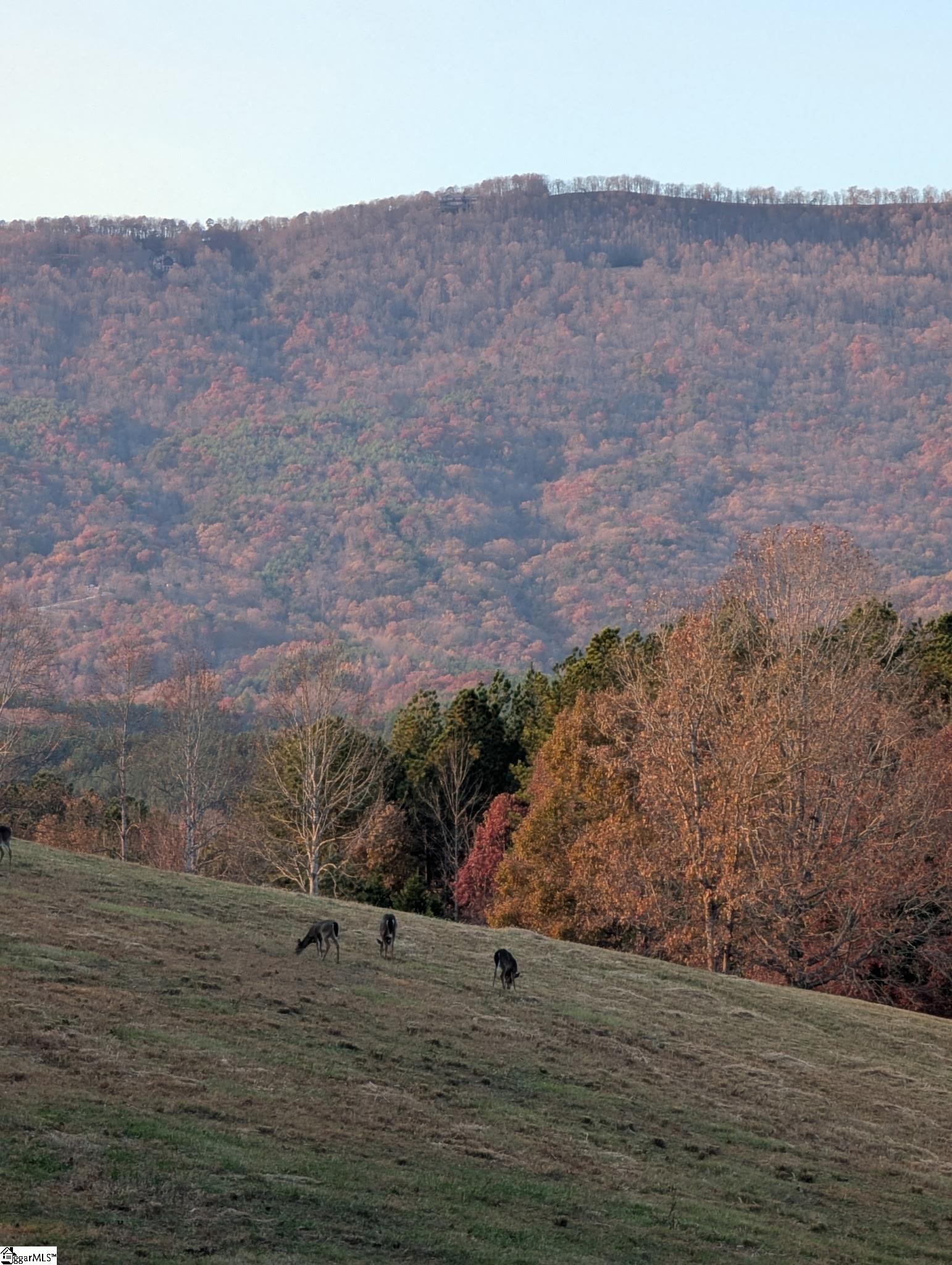 Photo 3 of Land for sale at River Park Ln, Mill Spring, NC 28756 | MLS# 1605783 | Listing updated on 2026-10-07