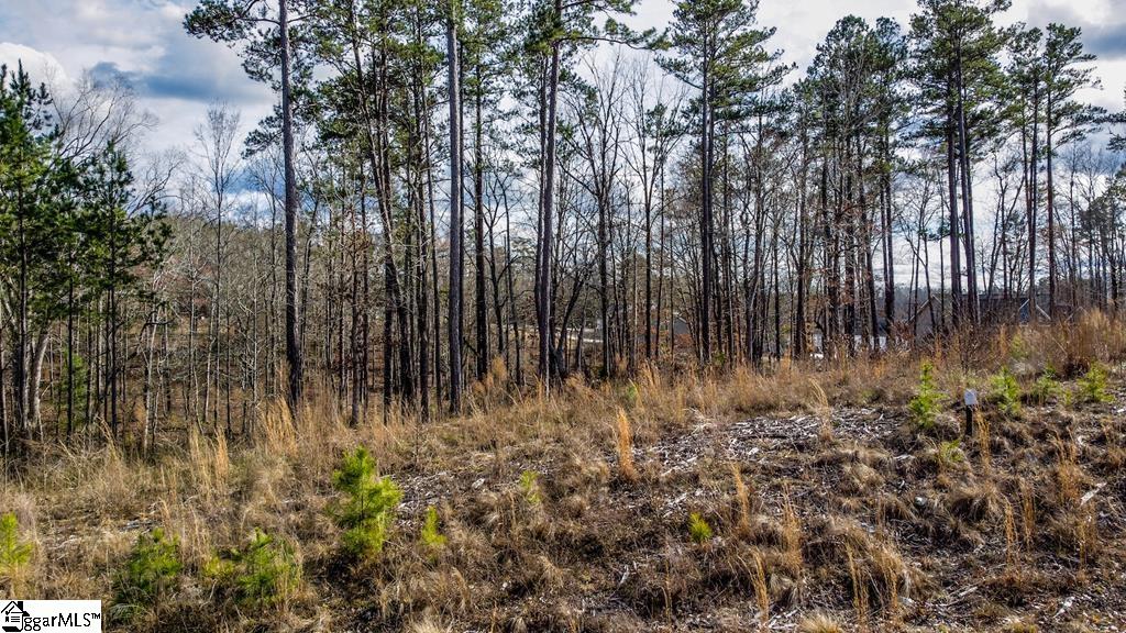 Photo 3 of Land for sale at 0 Lot 22 Waterside Point, Abbeville, SC 29620 | MLS# 1605796 | Listing updated on 2026-10-06