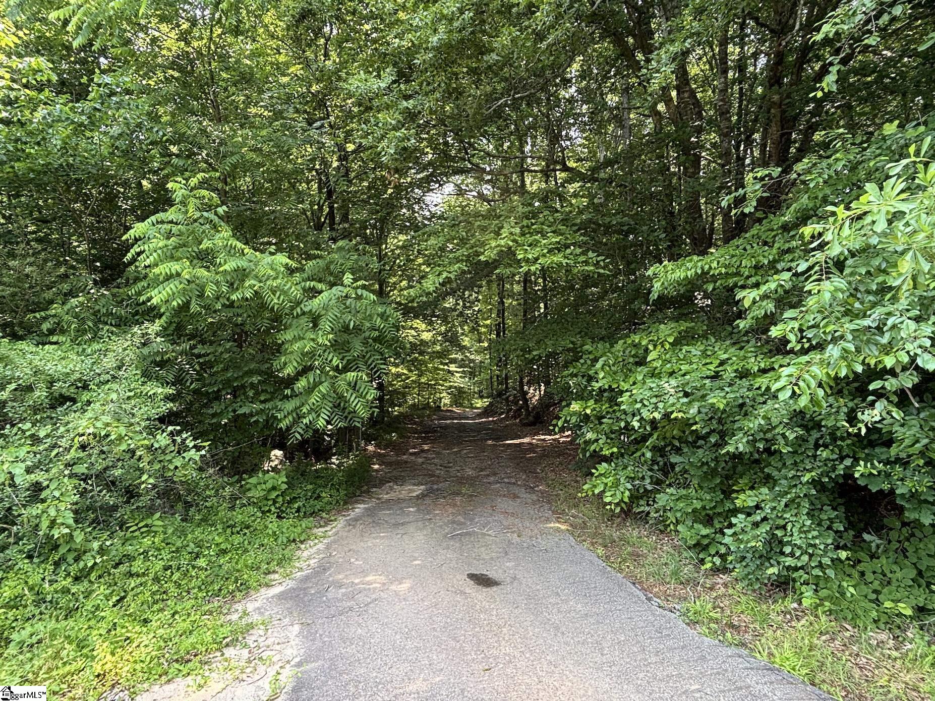 Land for sale at 199 Johns Ml Rd, Westminster, SC 29693 | MLS# 1605965
