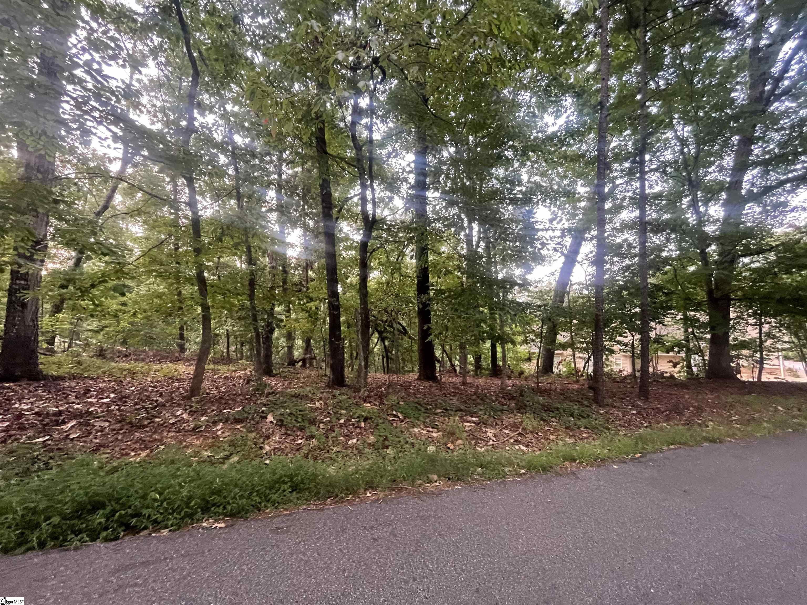 Photo 3 of Land for sale at 0 Craig Ln #1, Salem, SC 29676 | MLS# 1605982 | Listing updated on 2026-10-07