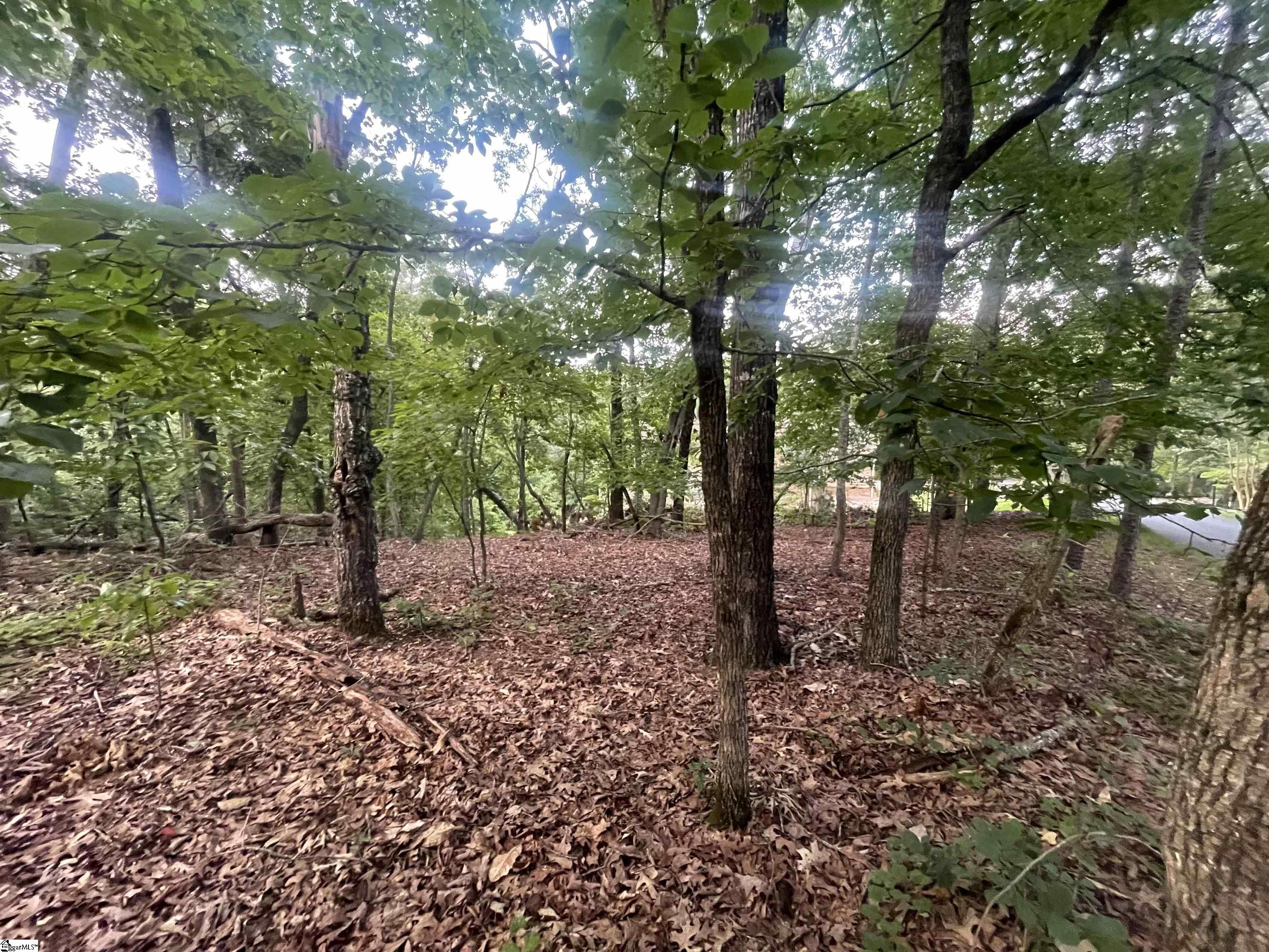 Photo 3 of Land for sale at 0 Craig Ln #1, Salem, SC 29676 | MLS# 1605982 | Listing updated on 2026-10-07