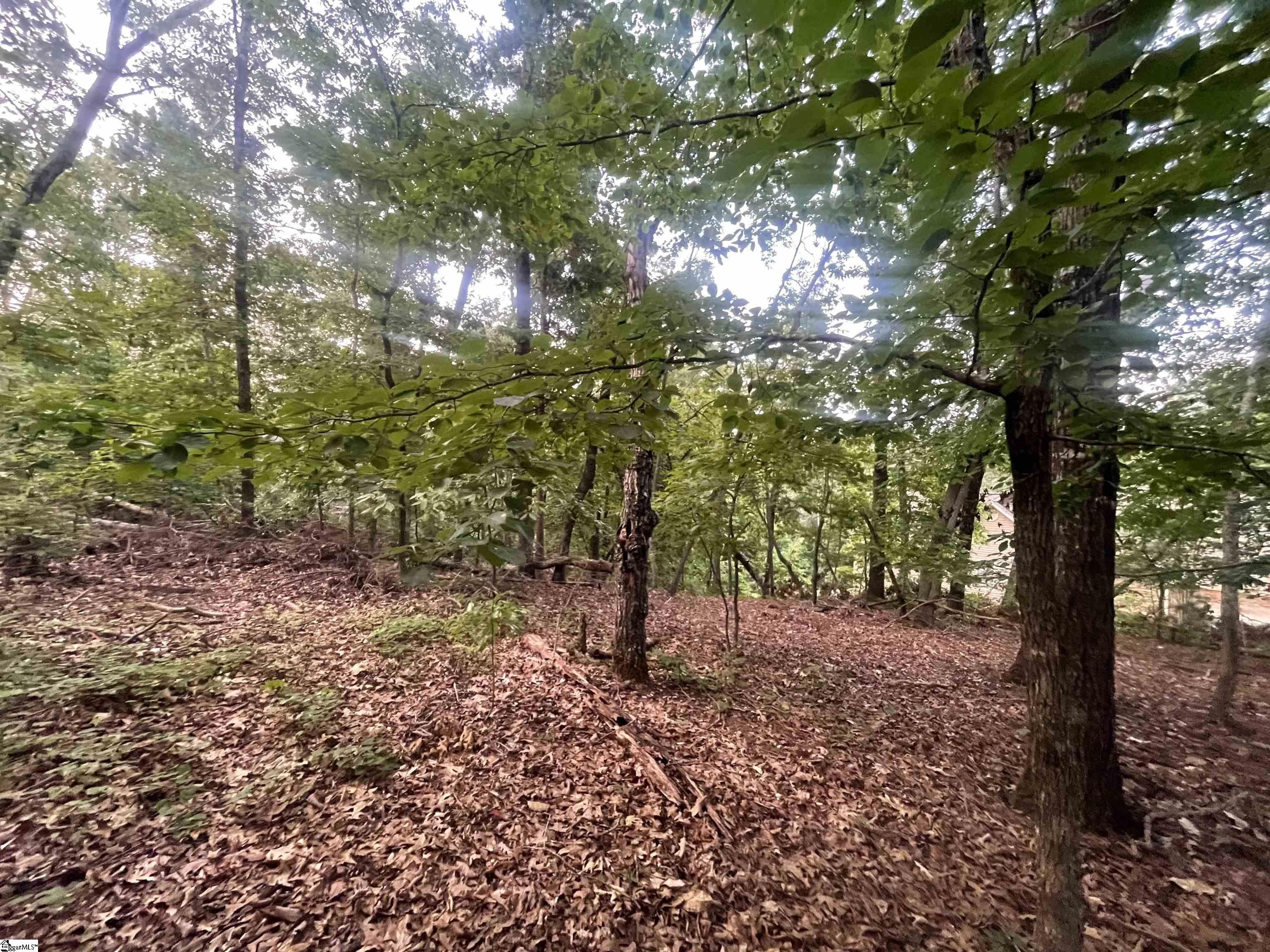 Photo 4 of Land for sale at 0 Craig Ln #1, Salem, SC 29676 | MLS# 1605982 | Listing updated on 2026-10-07
