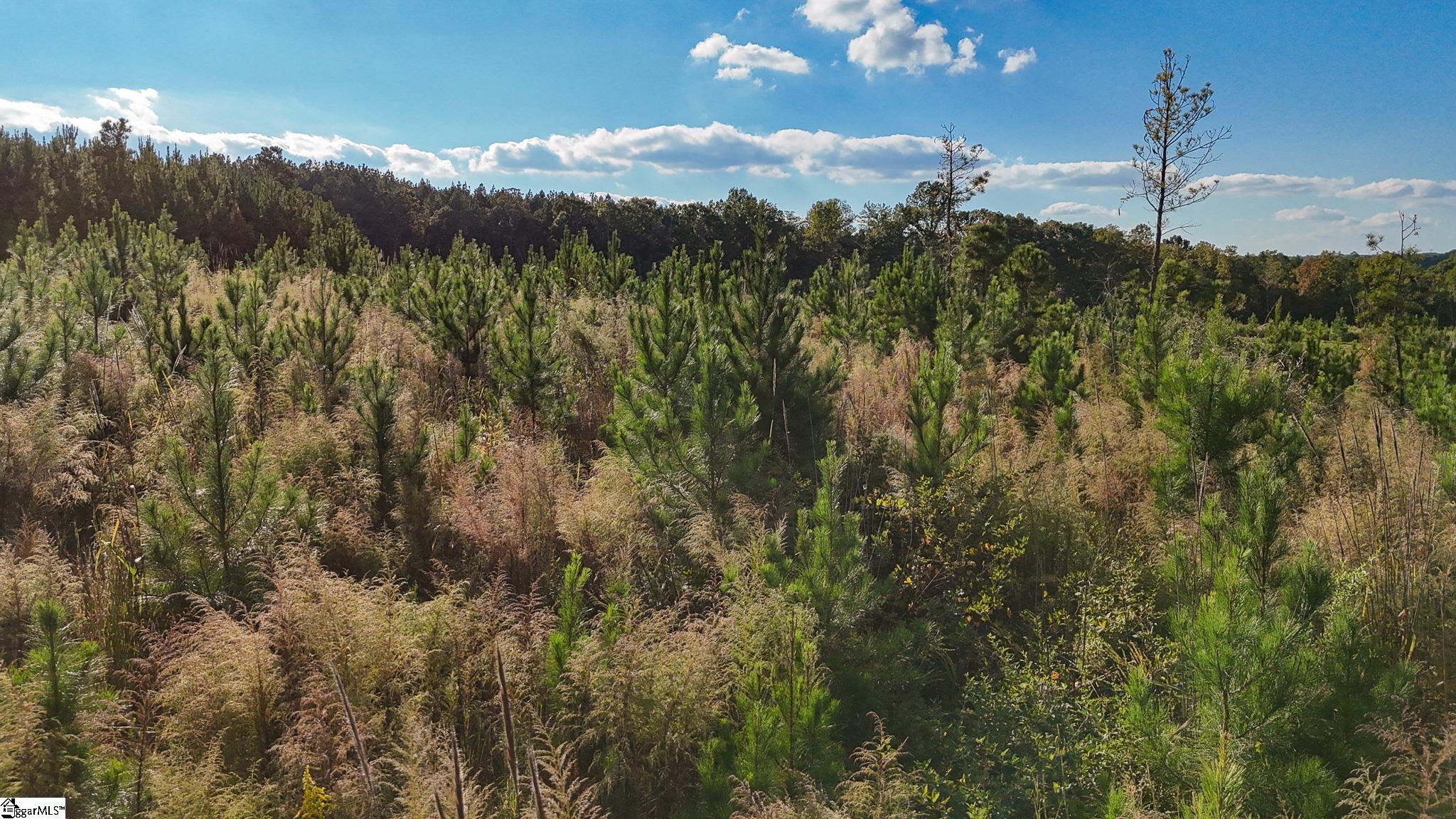 Photo 4 of Sale Pending at Crenshaw Rd, Cowpens, SC 29330 | MLS# 1606644 | Listing updated on 2026-10-19