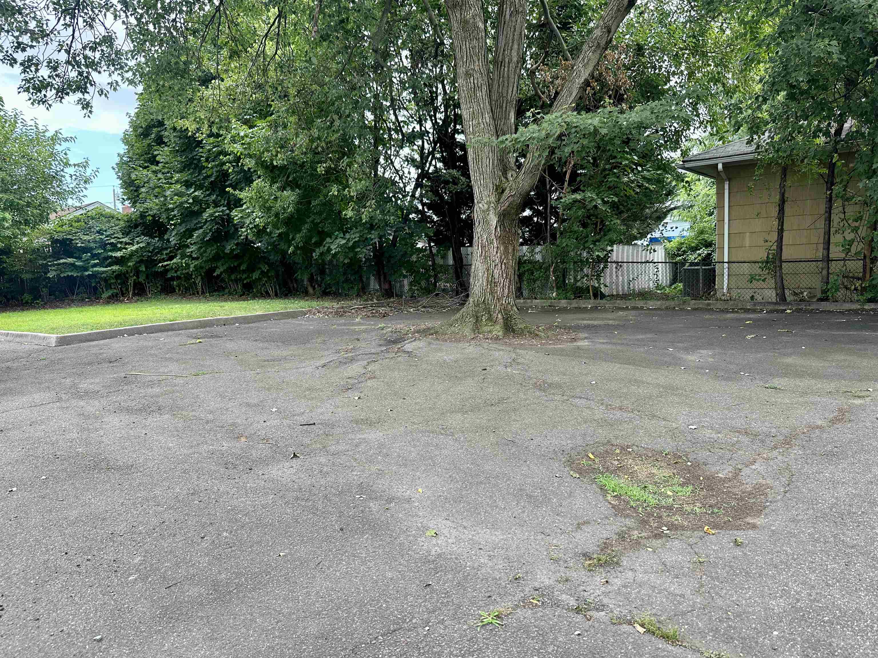 54 STUYVESANT AVE - Photo 4