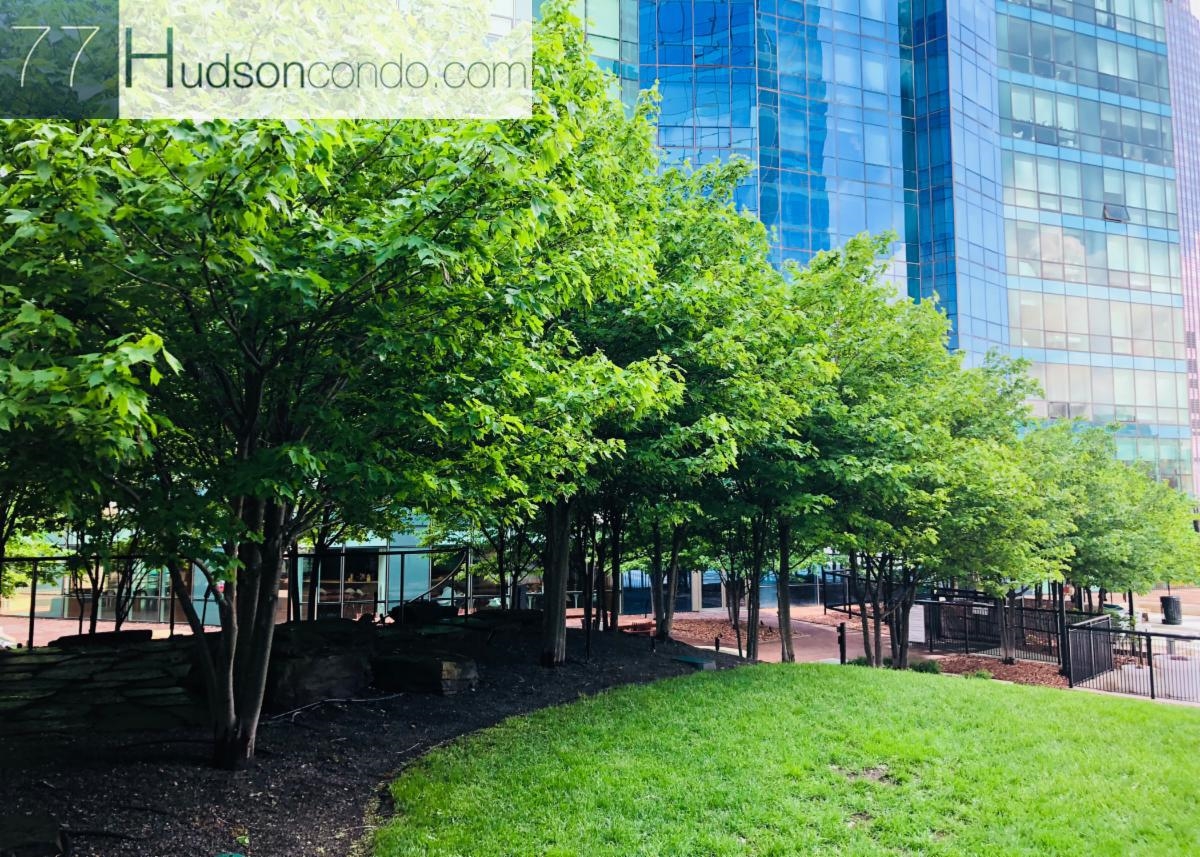 77 HUDSON ST #3403