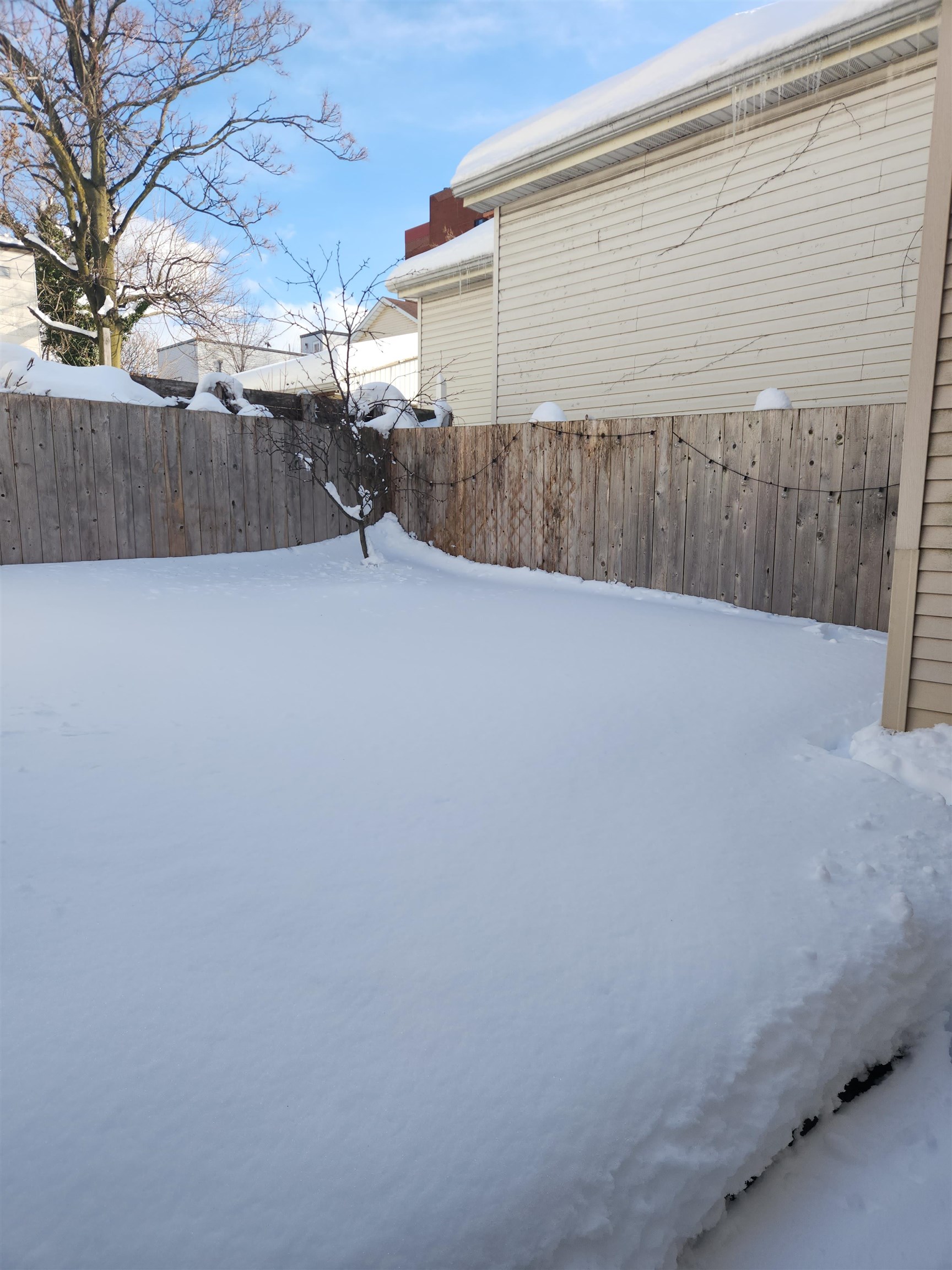 44 PIERCE AVE - Photo 2