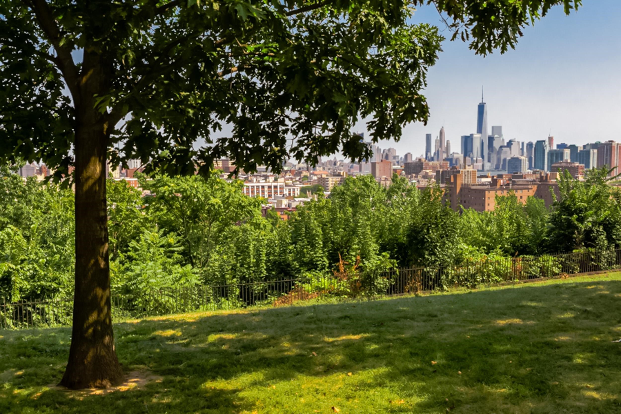 41 BEACON AVE #2
