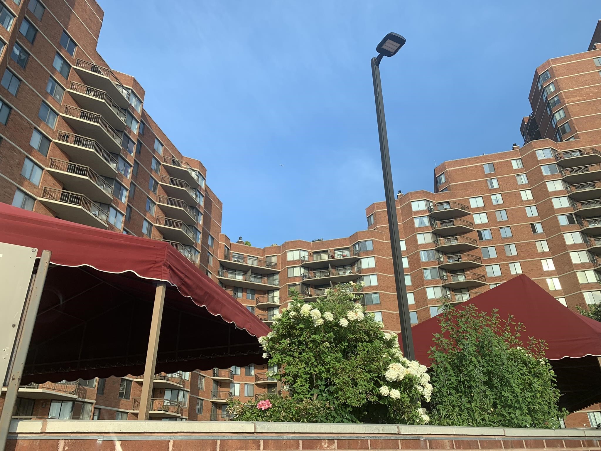 2105 HARMON COVE TOWER - Photo 1