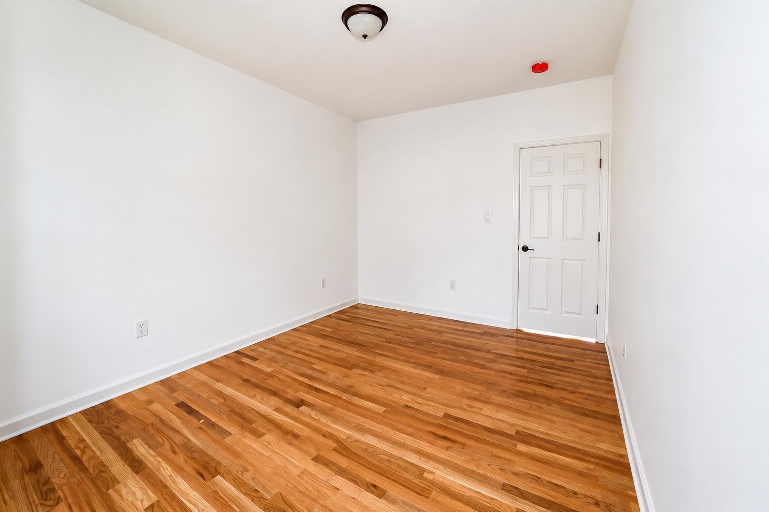 305 CATOR AVE #1F