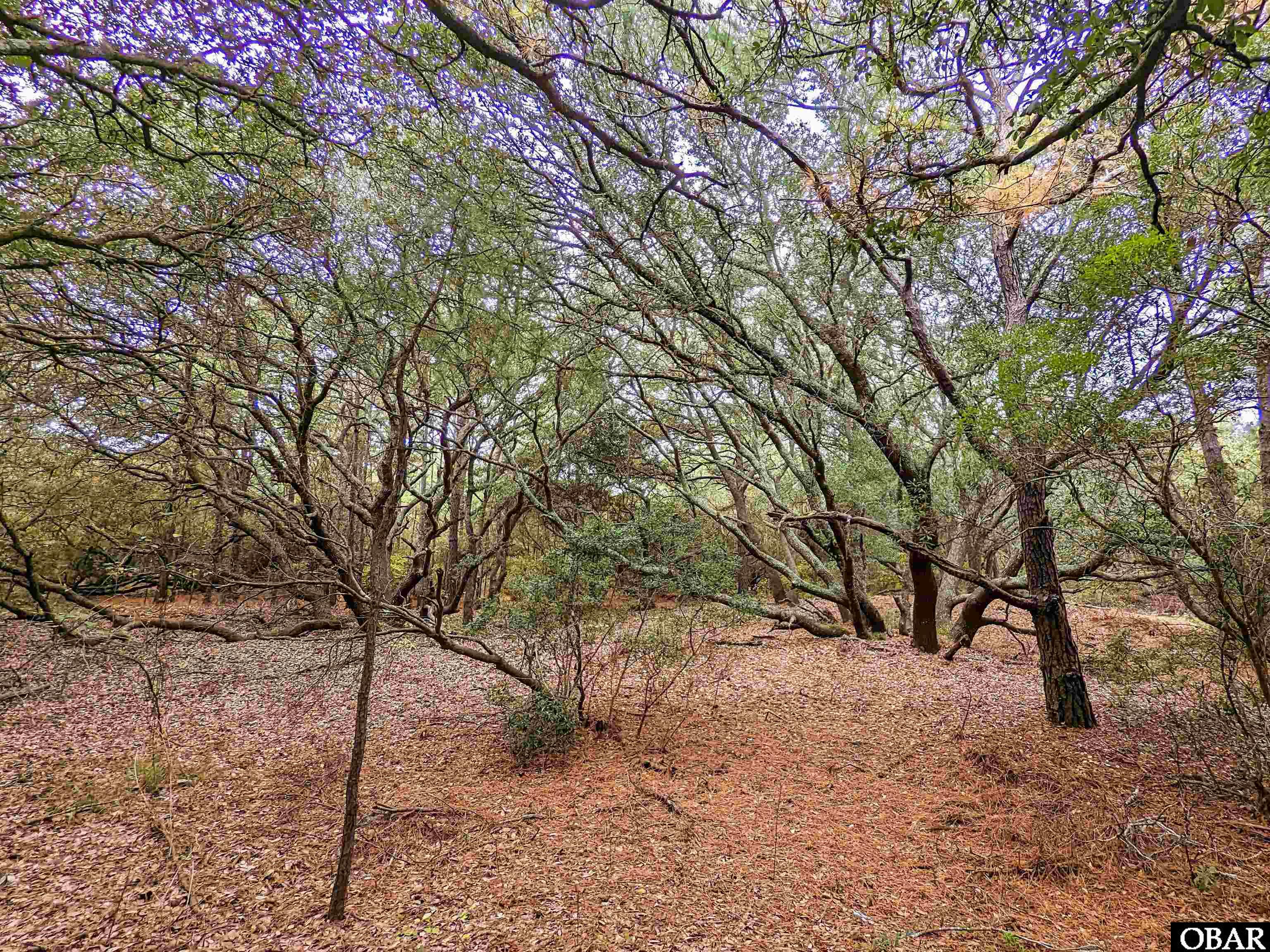2386 Carova Road 