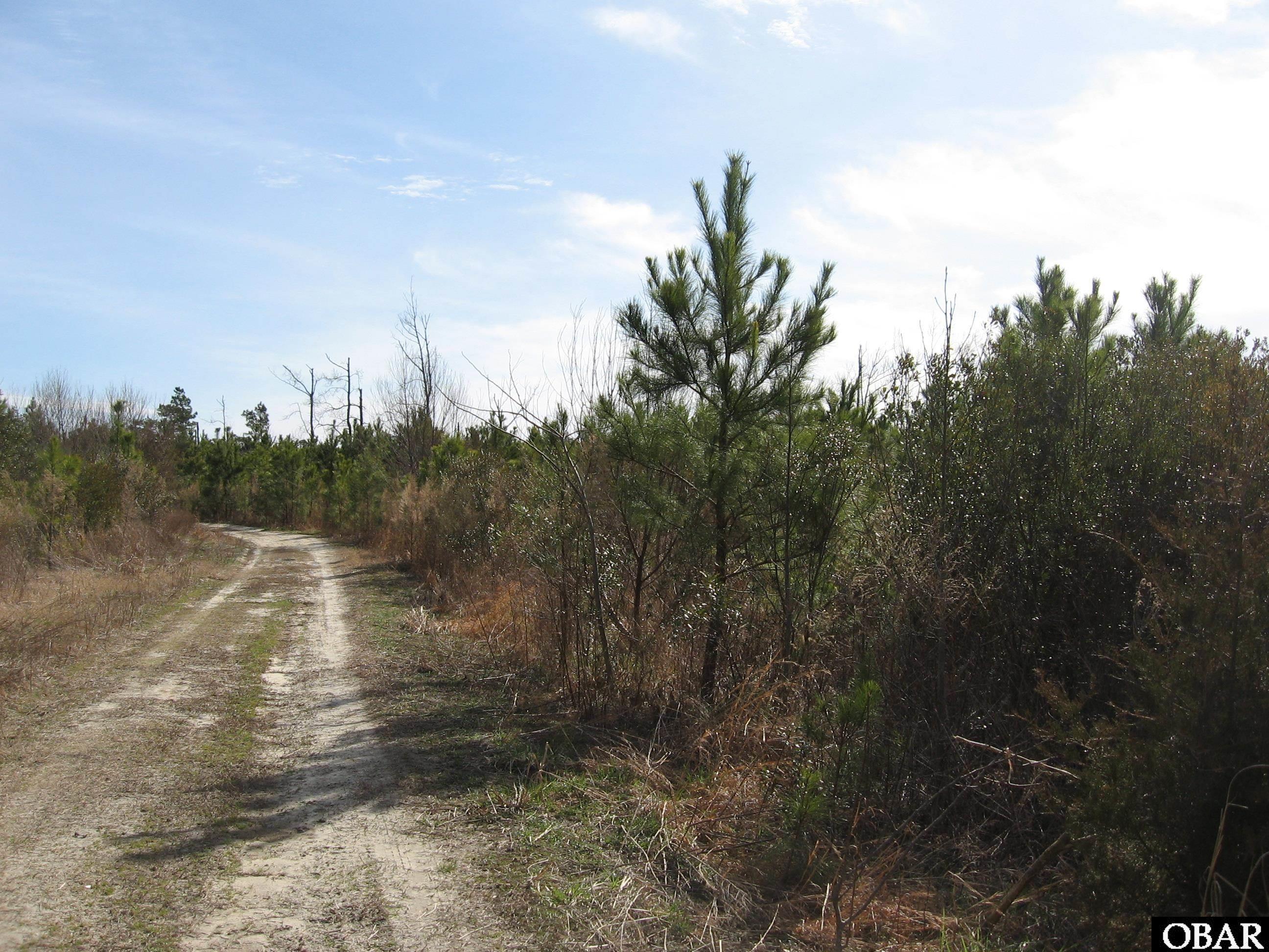 132749 | Photo 12