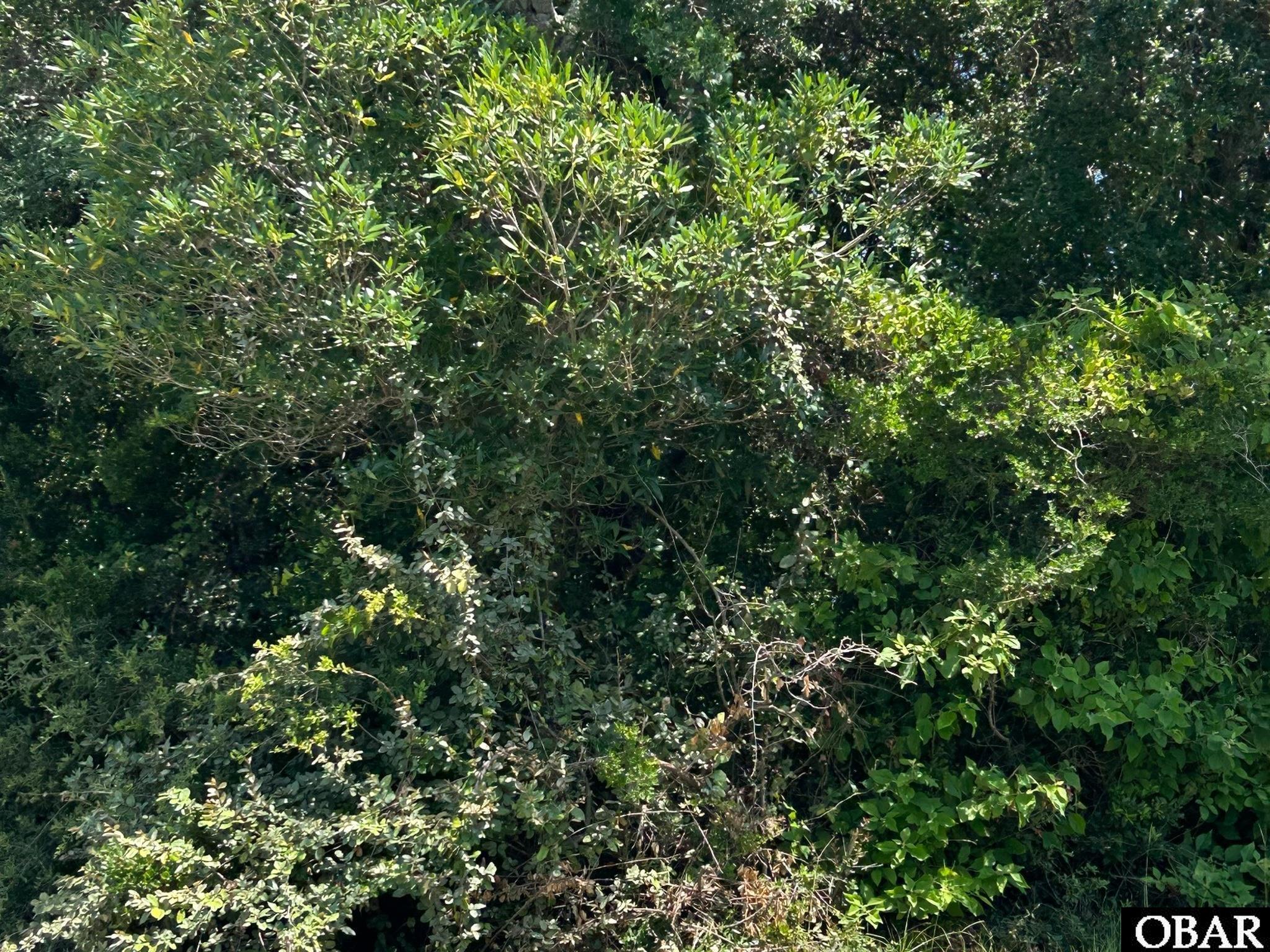 133330 | Photo 17
