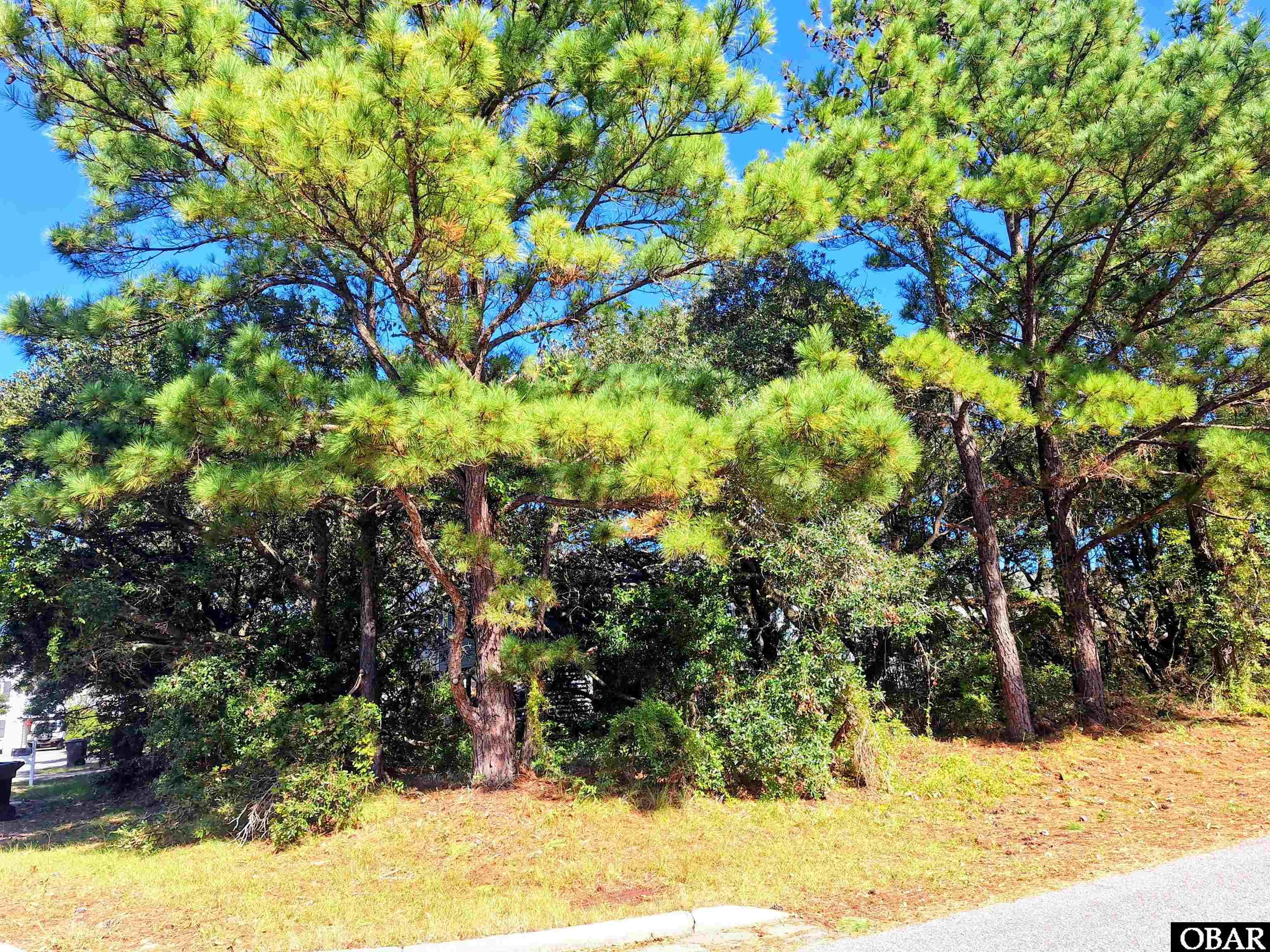 134433 | Photo 3