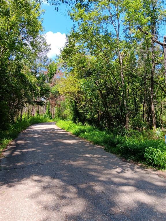 TBD LOUISE Street, Port Vincent, LA 70726