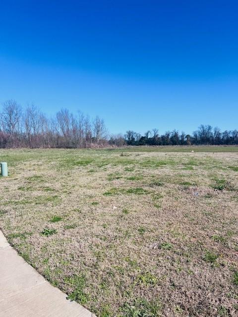 1336 BONAIRE Trace, Alexandria, LA 71303