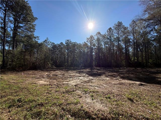 TBD 25 acres TATOO Road, Glenmora, LA 71433