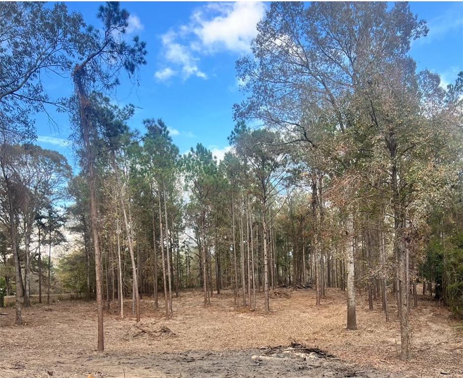 0 HOYT Road, Boyce, LA 71409