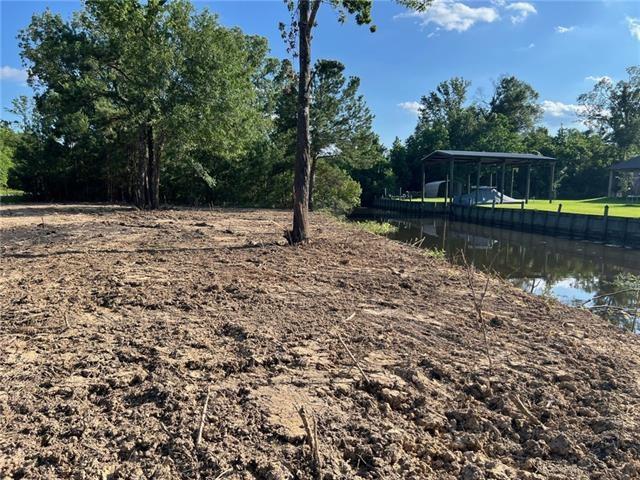 lot 52 SWAMP Drive, Springfield, LA 70462