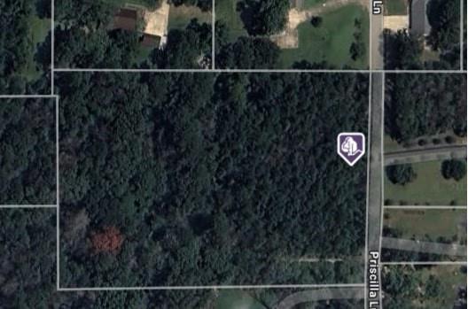 23011 PRISCILLA Lane, Denham Springs, LA 70726